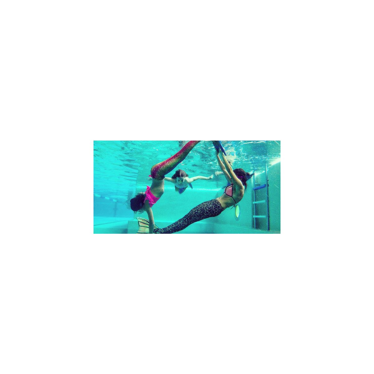 Mermaids education Swimsports - Mermaids education Swimsports