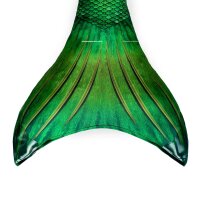 Mermaid costume for children Lime Rickey M
